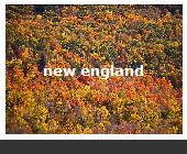 indian summer